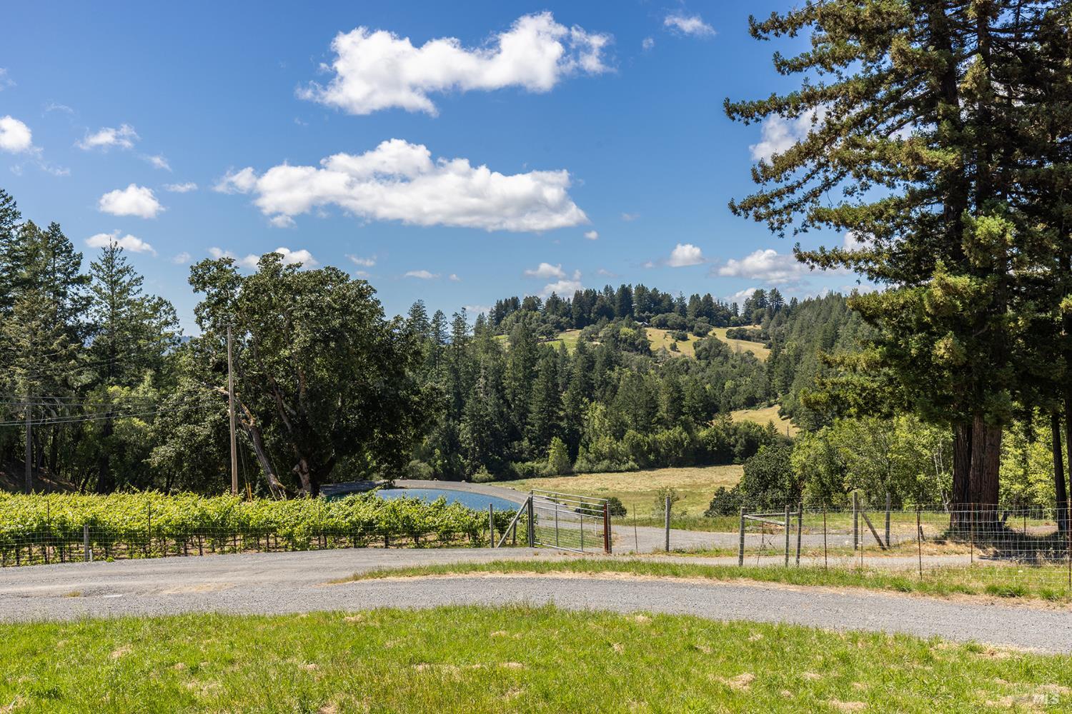 14640 Morelli Lane Sebastopol, CA 95472 - Photo 55 of 60