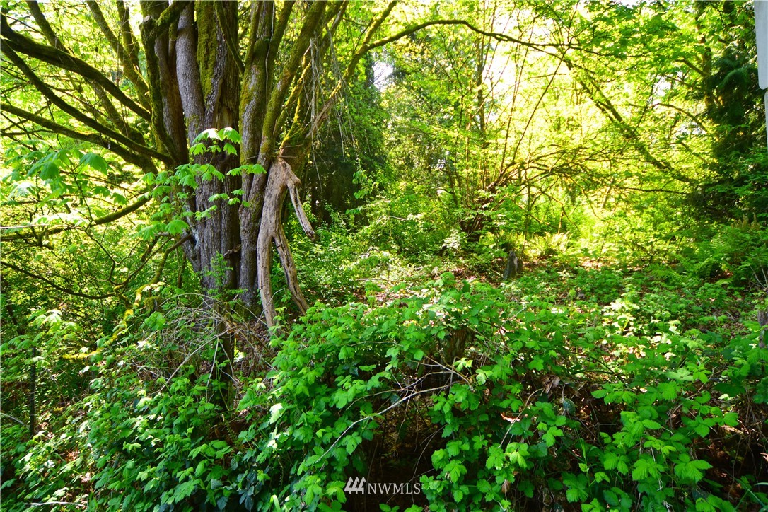 160-xx Mitchell Road Lake Stevens, WA 98258 - Photo 6 of 7 Gallery Image 6