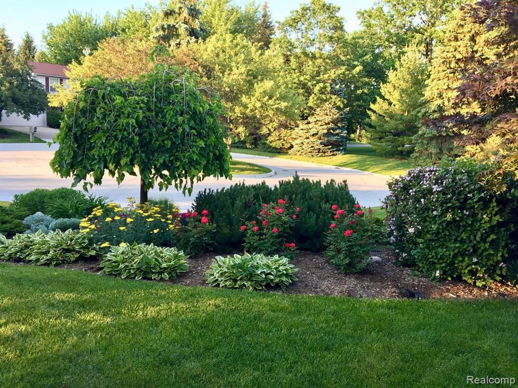 235 Torrent Court Rochester Hills, MI 48307 - Photo 3 of 30