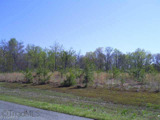 0 Tom Everhart Road Lexington, NC 27292 - Photo 1 of 1 Exterior Front. MAIN VIEW