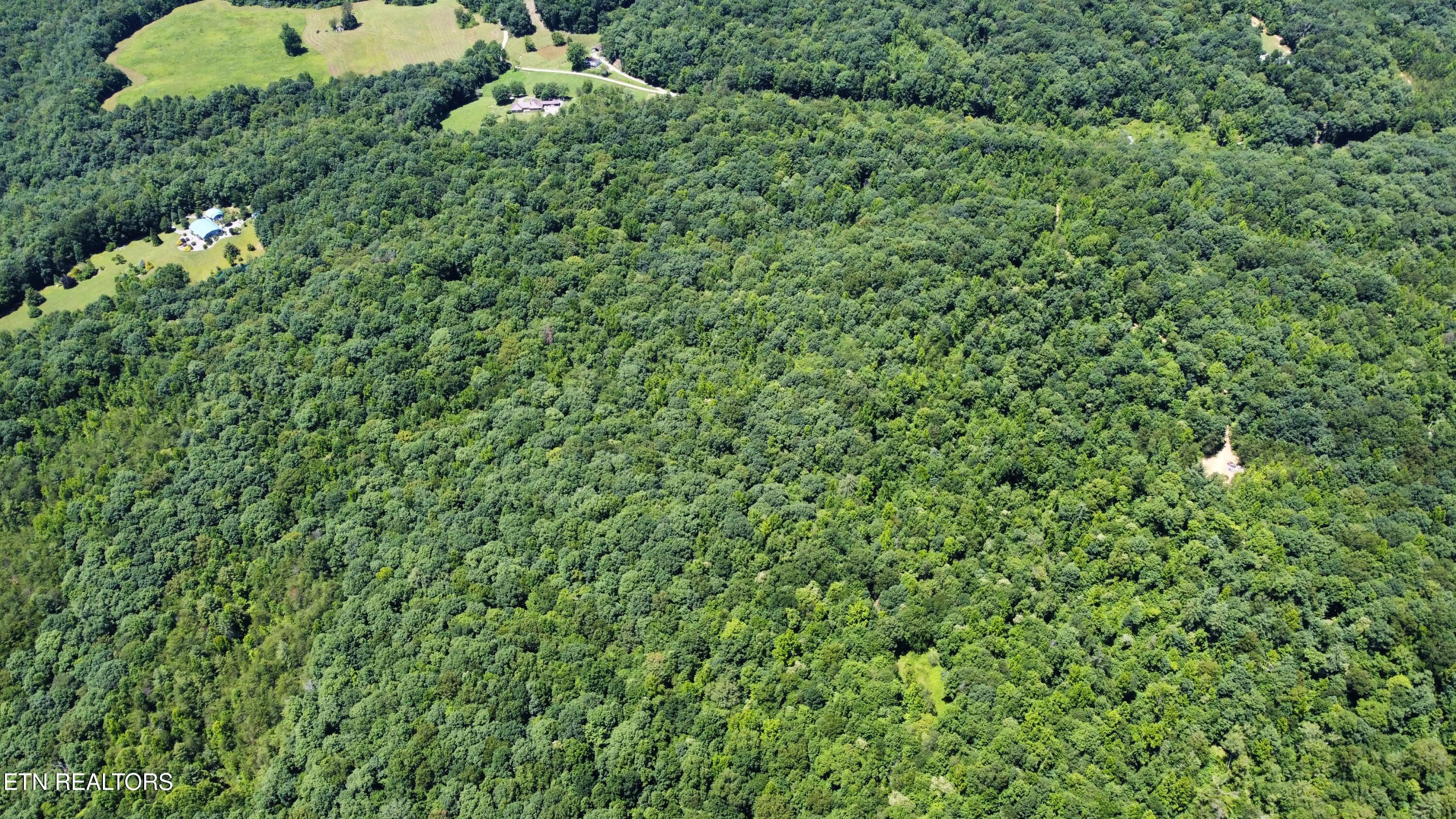 0 South Buffalo Road Oneida, TN 37841 - Photo 1 of 20 Photo Jul 10 2023, 2 15 04 PM