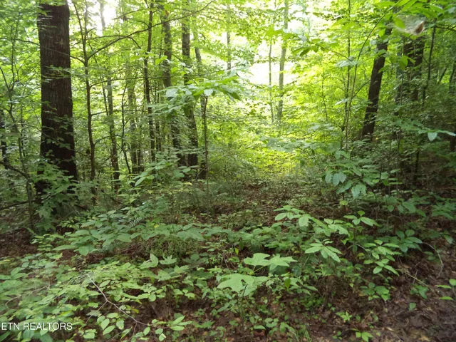 $100,000 | 0 South Buffalo Road, Oneida, TN 37841