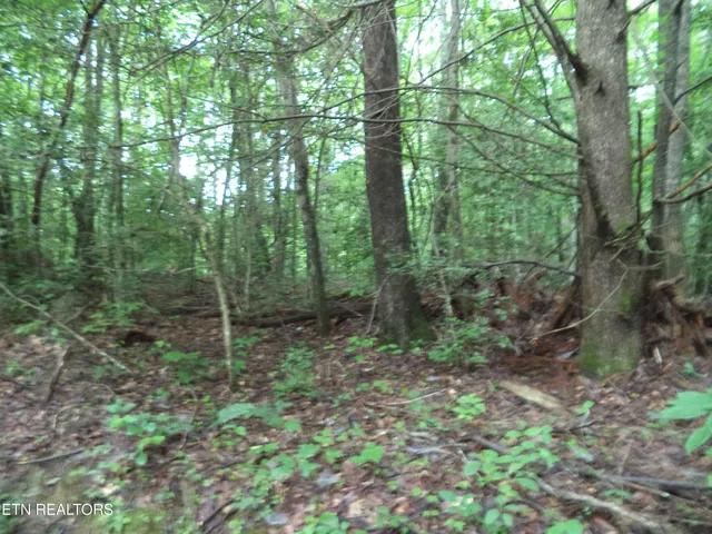 $100,000 | 0 South Buffalo Road, Oneida, TN 37841