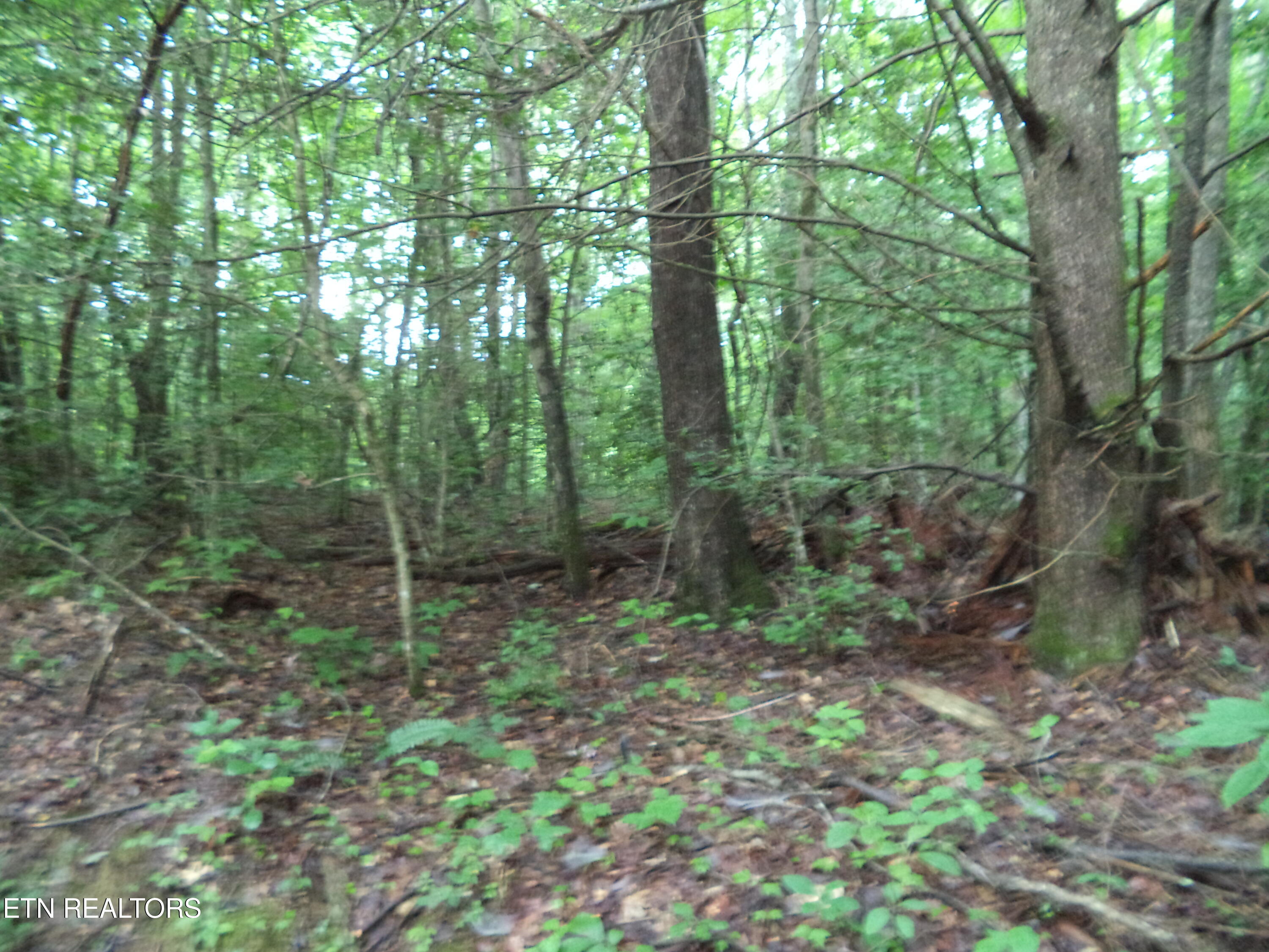 0 South Buffalo Road Oneida, TN 37841 - Photo 12 of 20 Property Photos (6)