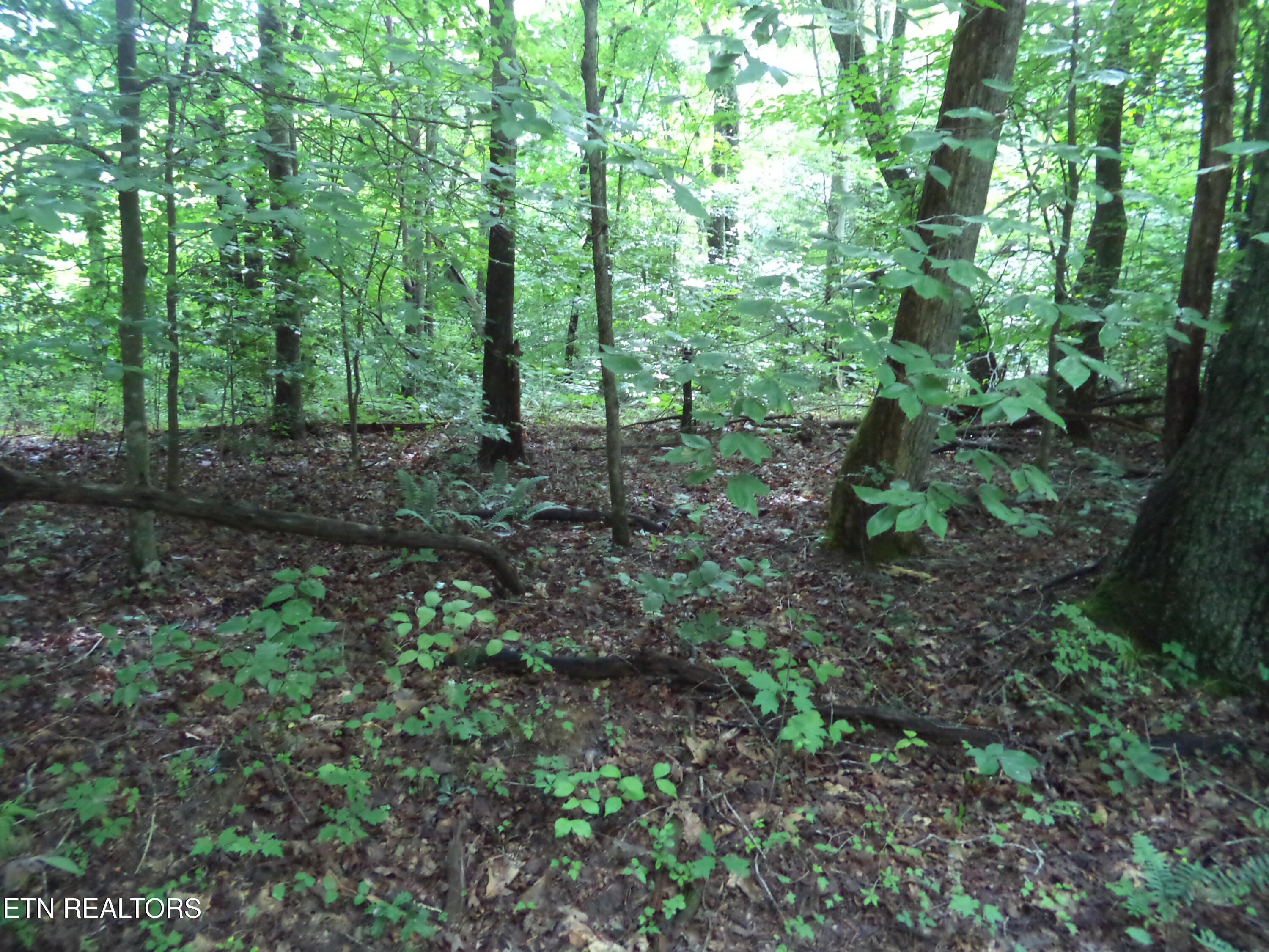 0 South Buffalo Road Oneida, TN 37841 - Photo 13 of 20 Property Photos (7)