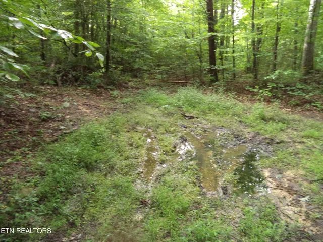 $100,000 | 0 South Buffalo Road, Oneida, TN 37841