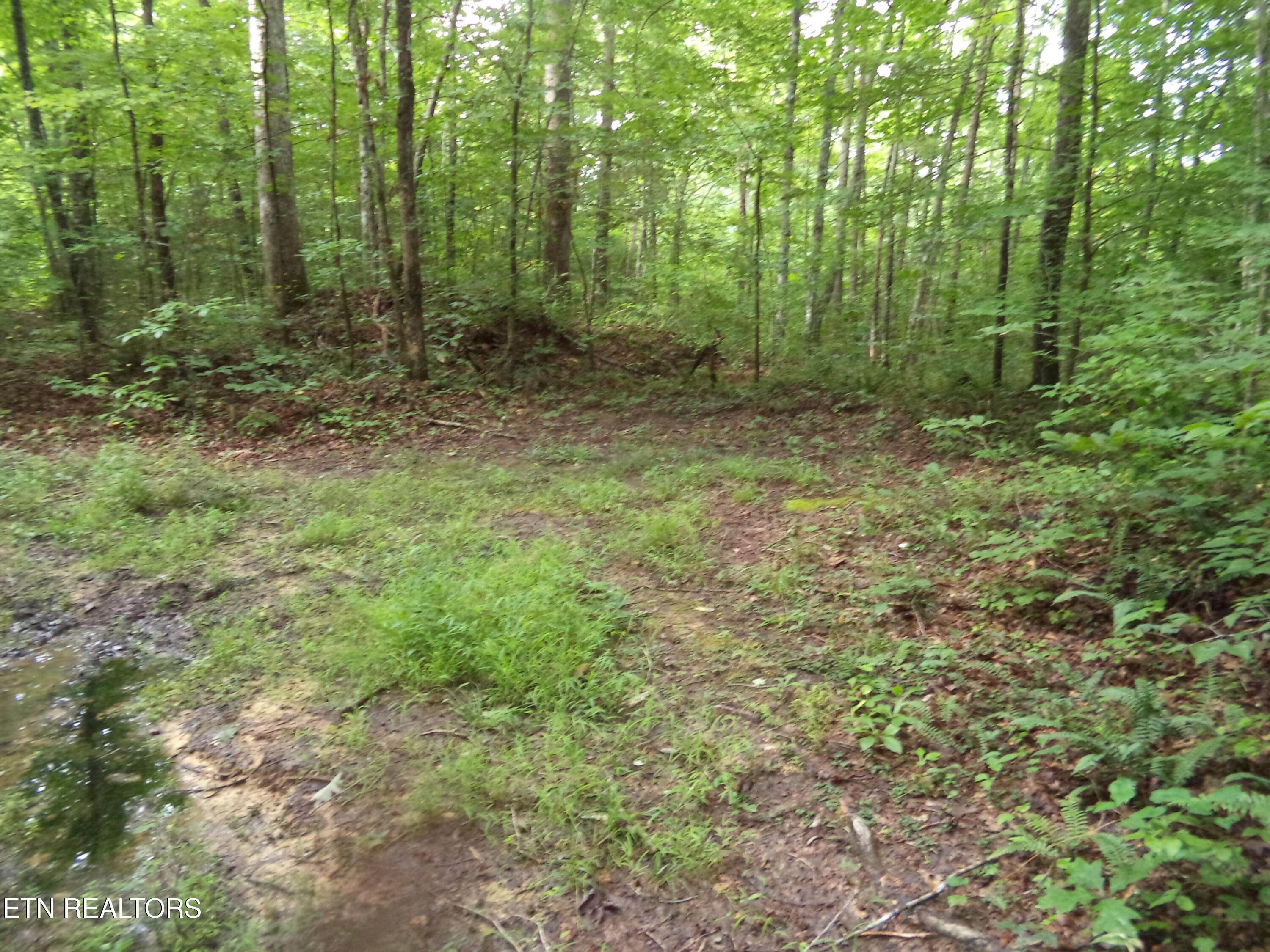 0 South Buffalo Road Oneida, TN 37841 - Photo 15 of 20 Property Photos (9)