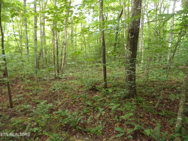 $100,000 | 0 South Buffalo Road, Oneida, TN 37841