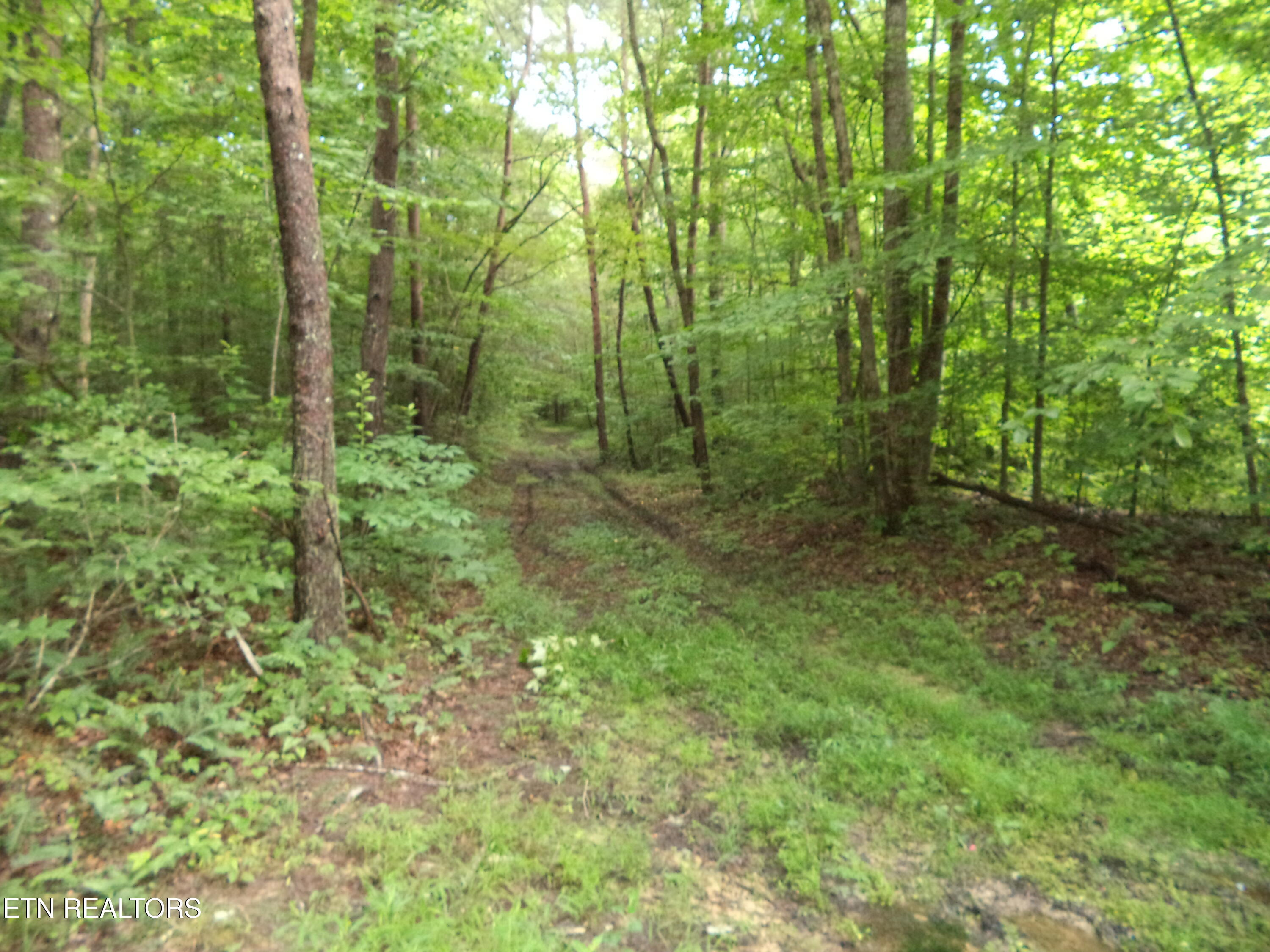 0 South Buffalo Road Oneida, TN 37841 - Photo 17 of 20 Property Photos (11)