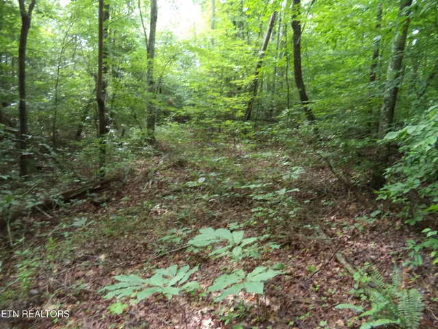 $100,000 | 0 South Buffalo Road, Oneida, TN 37841