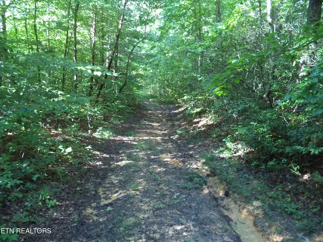 $100,000 | 0 South Buffalo Road, Oneida, TN 37841