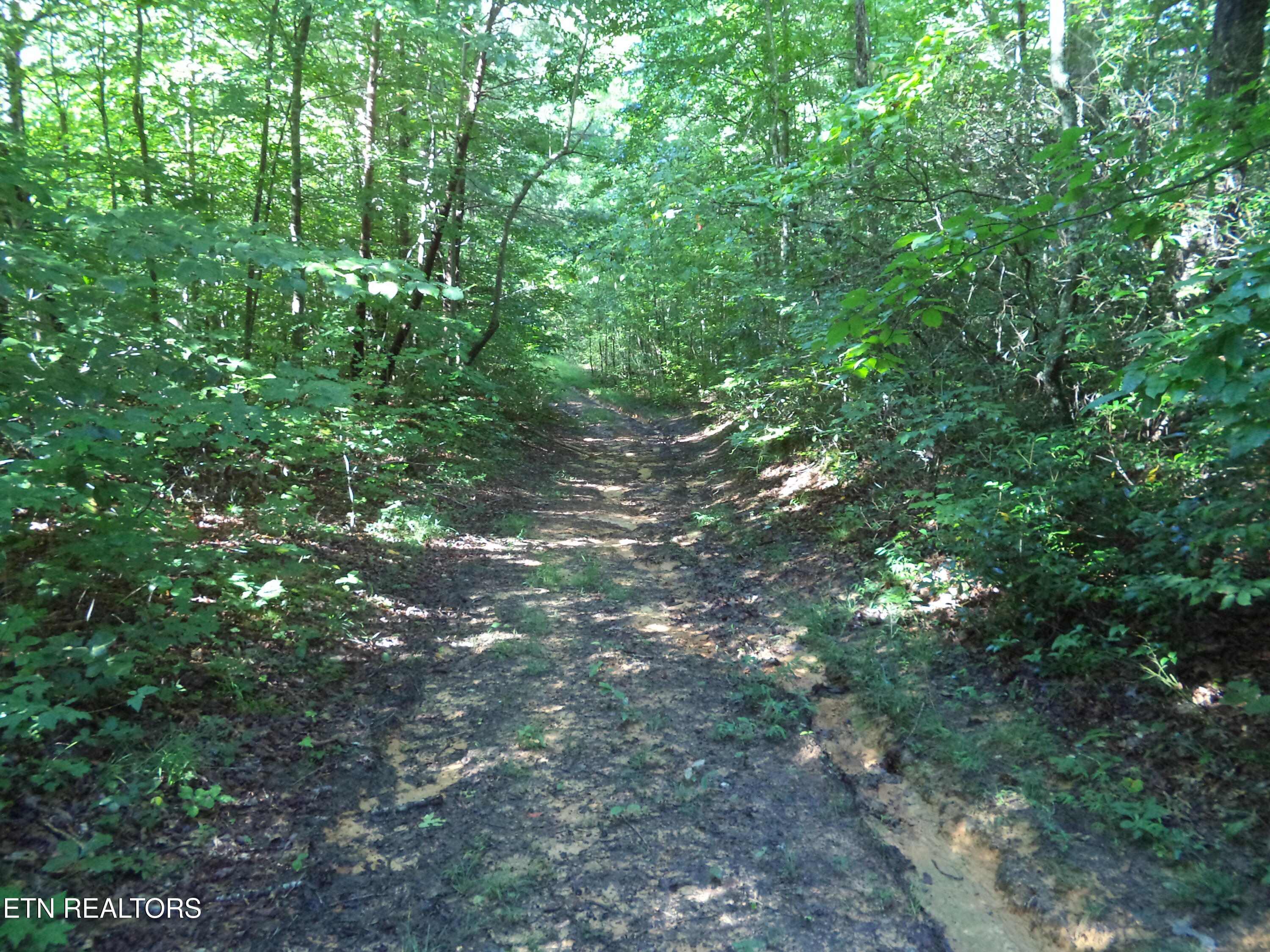 0 South Buffalo Road Oneida, TN 37841 - Photo 20 of 20 Road to Property (2)