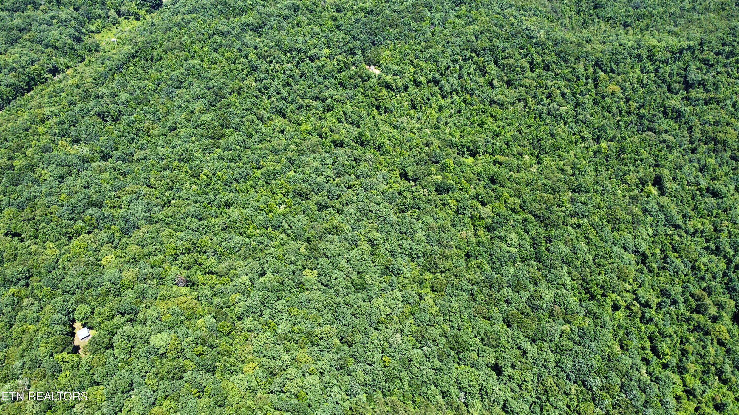 0 South Buffalo Road Oneida, TN 37841 - Photo 2 of 20 Photo Jul 10 2023, 2 16 16 PM