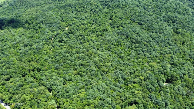 $100,000 | 0 South Buffalo Road, Oneida, TN 37841