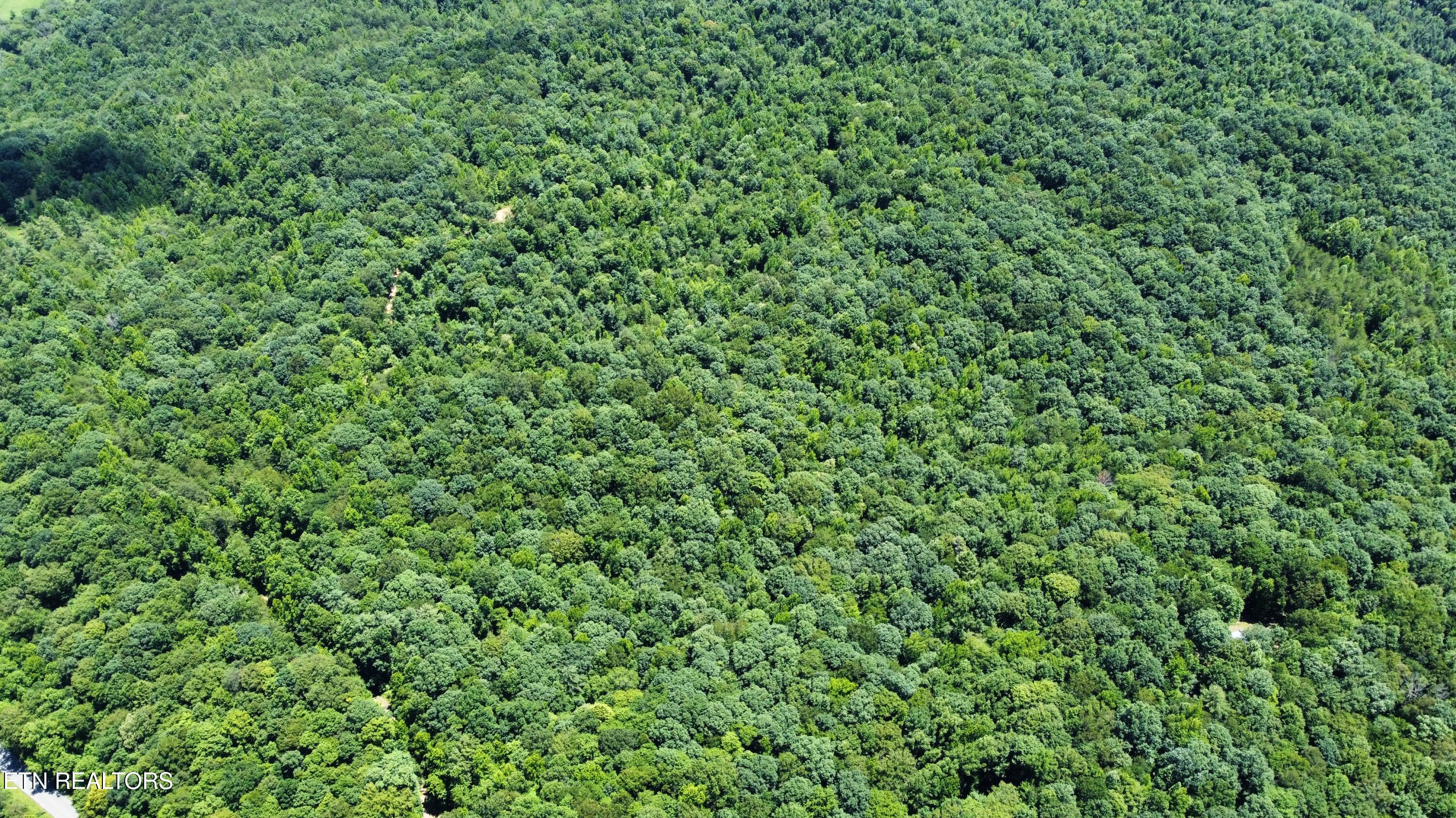 0 South Buffalo Road Oneida, TN 37841 - Photo 3 of 20 Photo Jul 10 2023, 2 18 02 PM