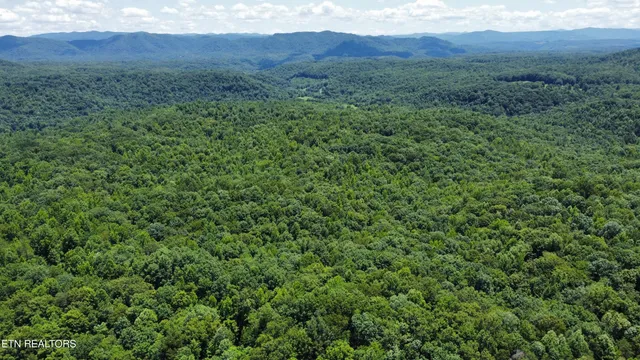 $100,000 | 0 South Buffalo Road, Oneida, TN 37841