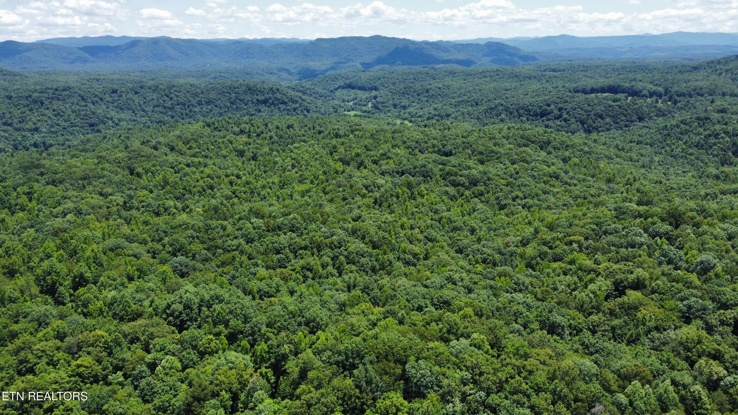 0 South Buffalo Road Oneida, TN 37841 - Photo 4 of 20 Photo Jul 10 2023, 2 19 04 PM