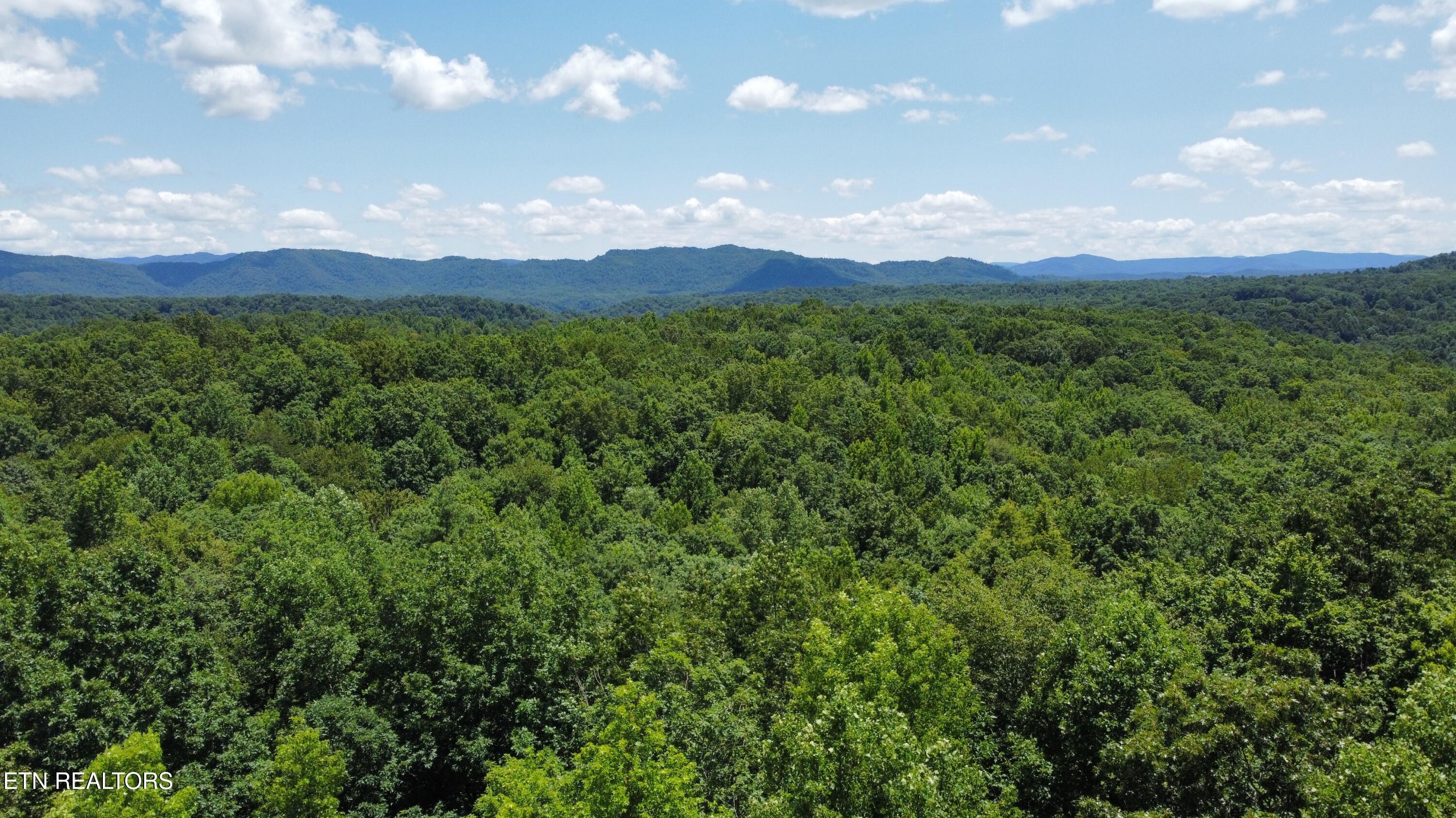 0 South Buffalo Road Oneida, TN 37841 - Photo 5 of 20 Photo Jul 10 2023, 2 19 38 PM