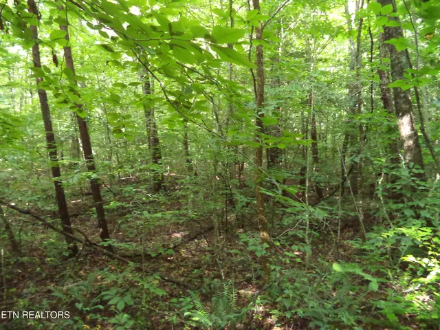 $100,000 | 0 South Buffalo Road, Oneida, TN 37841