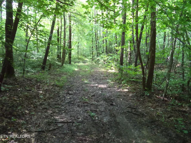 $100,000 | 0 South Buffalo Road, Oneida, TN 37841