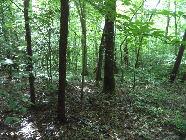 $100,000 | 0 South Buffalo Road, Oneida, TN 37841