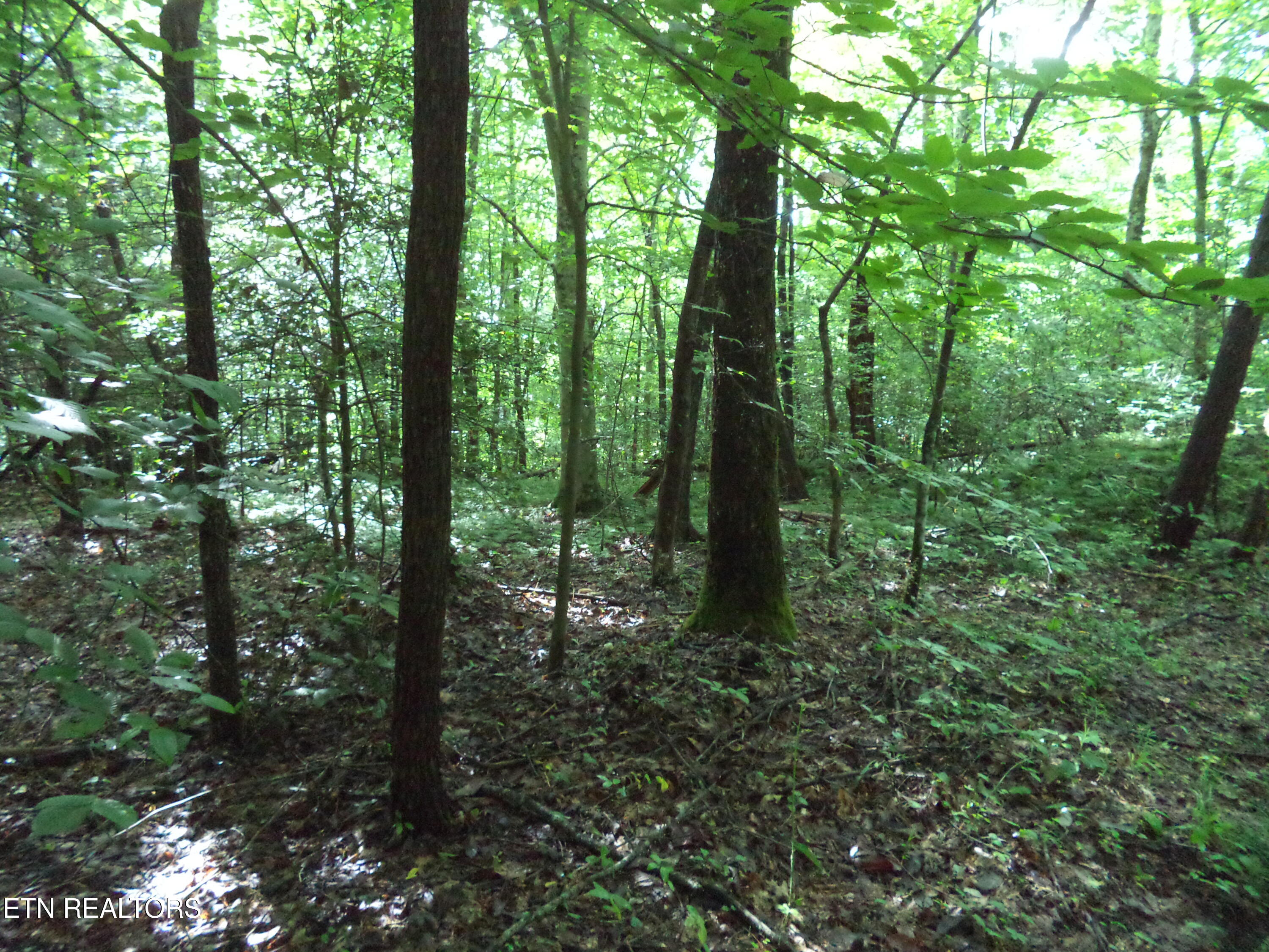 0 South Buffalo Road Oneida, TN 37841 - Photo 9 of 20 Property Photos (3)