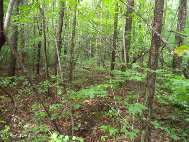 $100,000 | 0 South Buffalo Road, Oneida, TN 37841