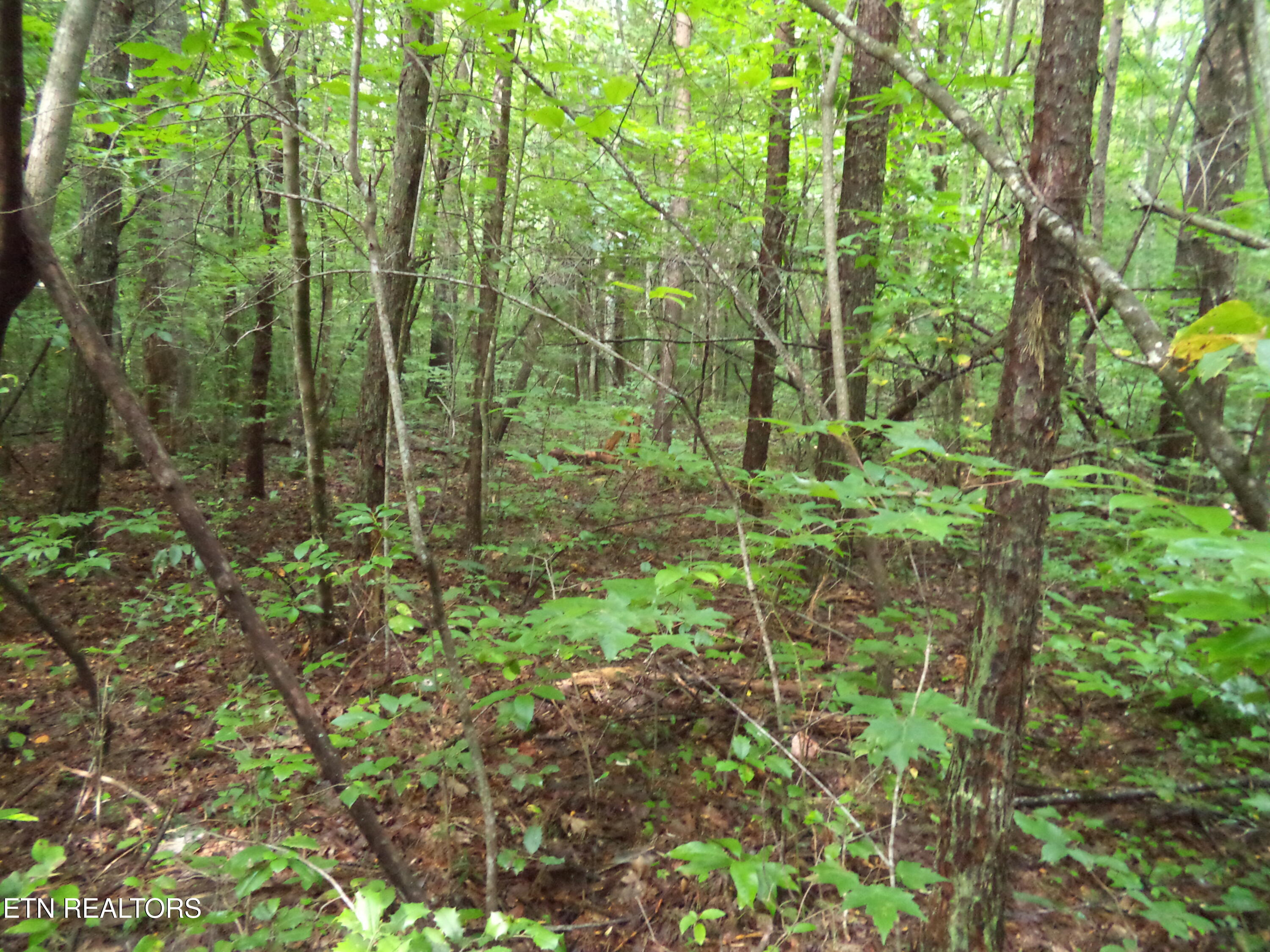 0 South Buffalo Road Oneida, TN 37841 - Photo 10 of 20 Property Photos (4)