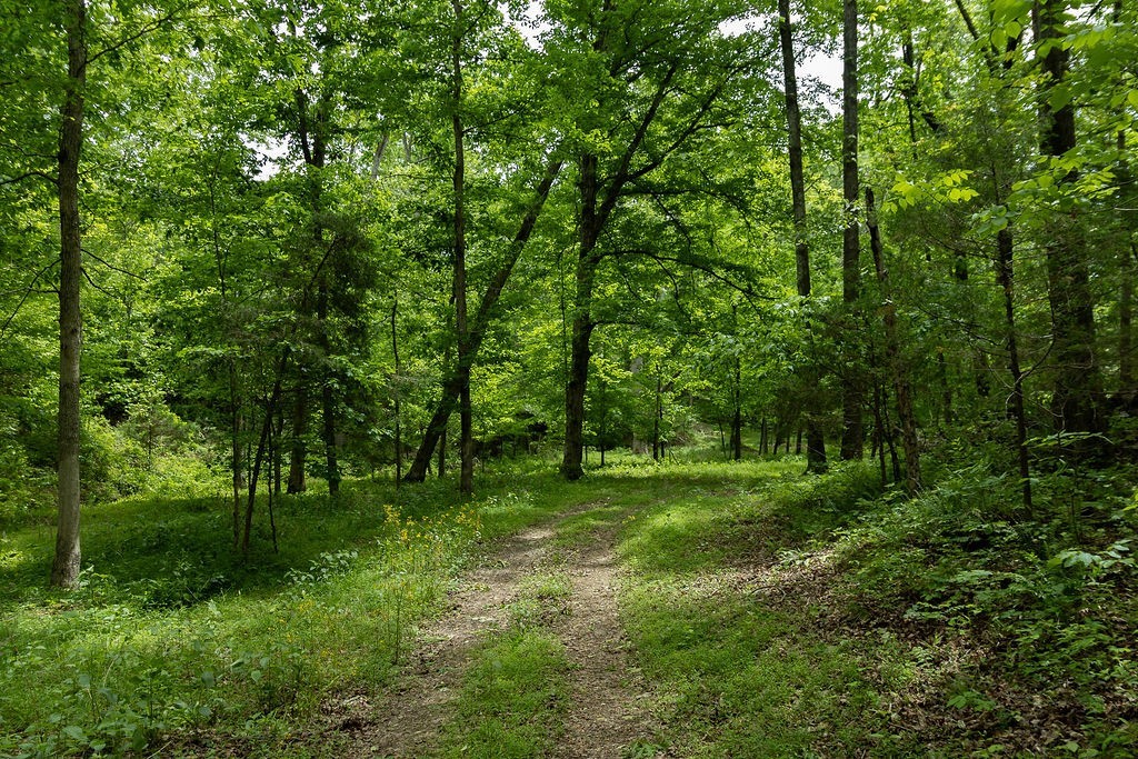 0 Billy Wynn Road Dickson, TN 37055 - Photo 18 of 44