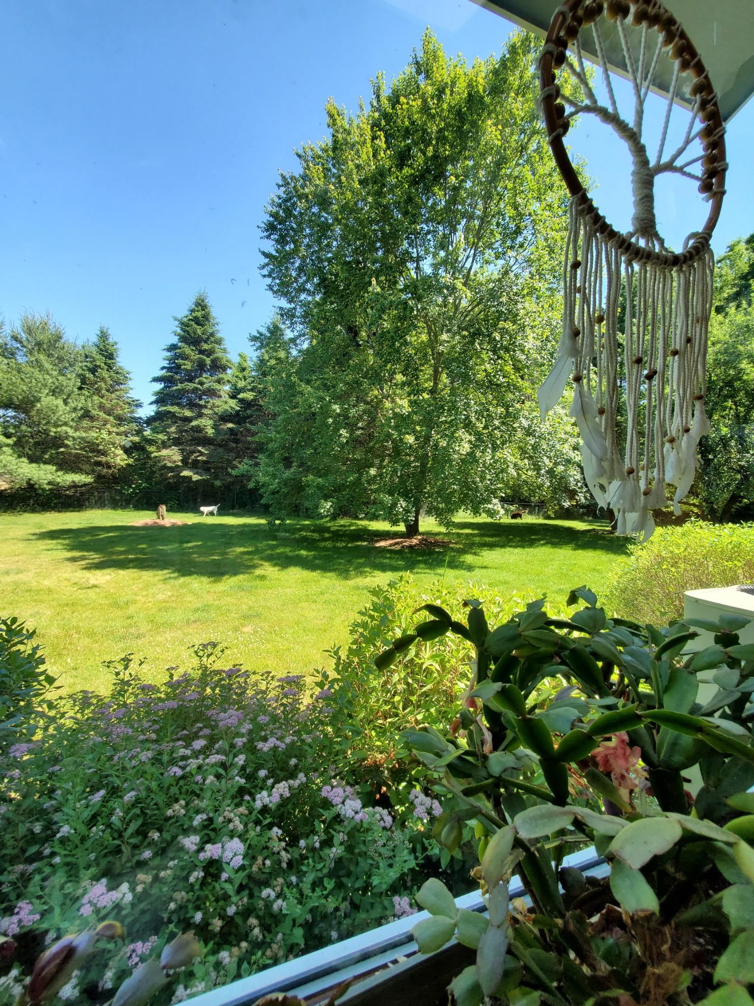 65 Pelham Road Salem, NH 03079 - Photo 32 of 44