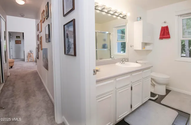 a bathroom with a sink and a toilet