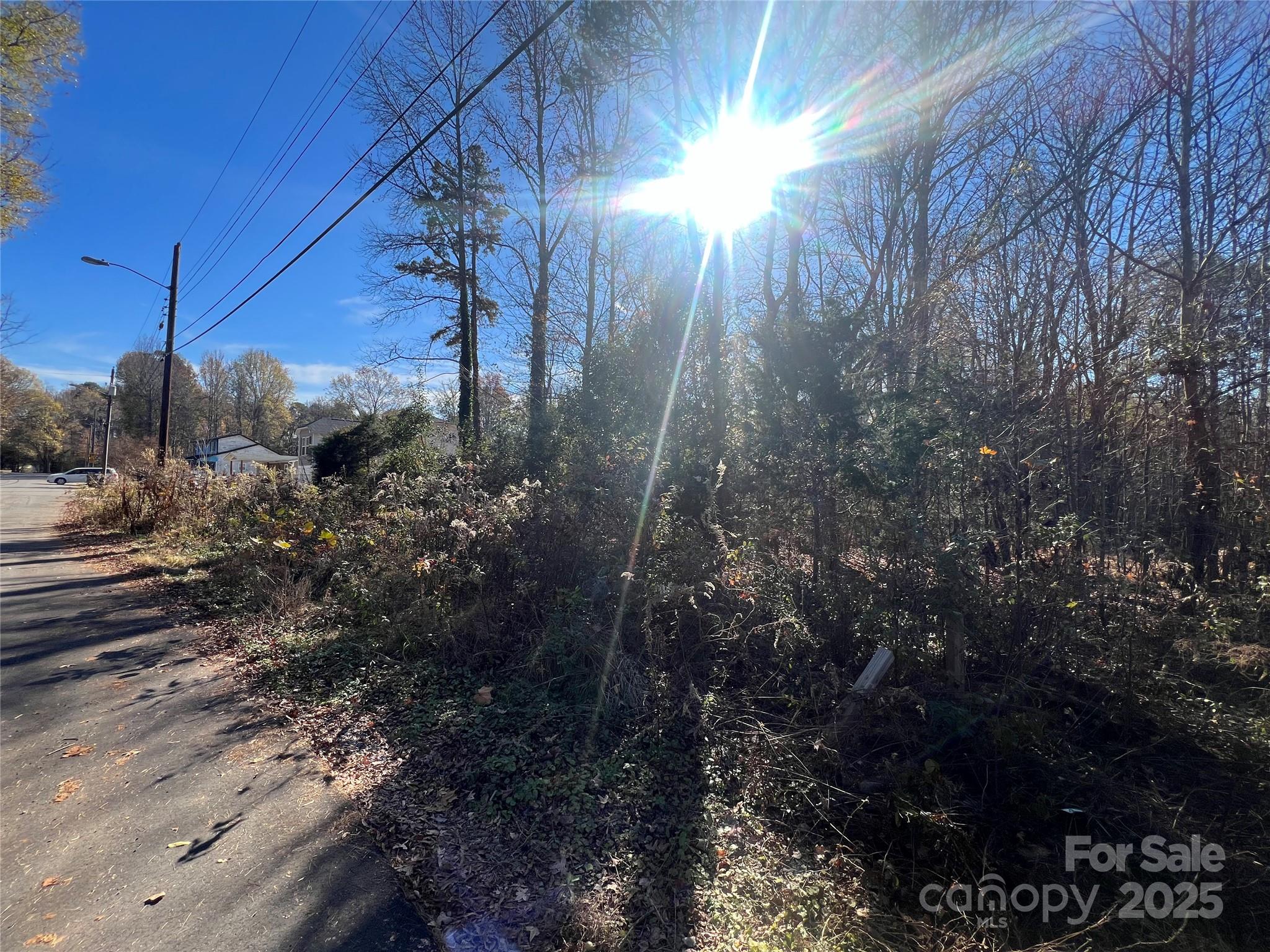 401 Nance Road Charlotte, NC 28214 - Photo 3 of 8 a view of a yard