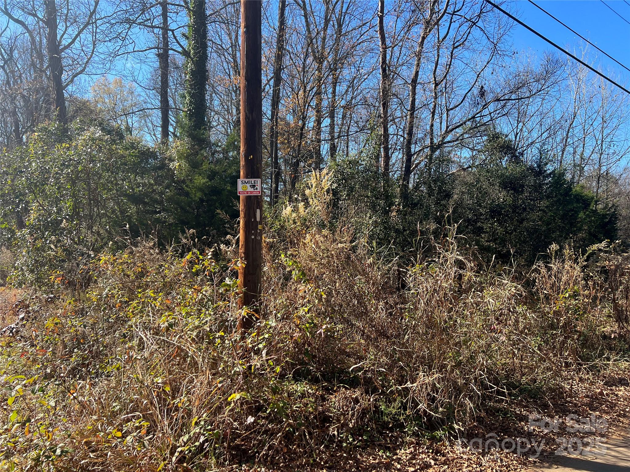 401 Nance Road Charlotte, NC 28214 - Photo 5 of 8 a view of a forest that has large trees