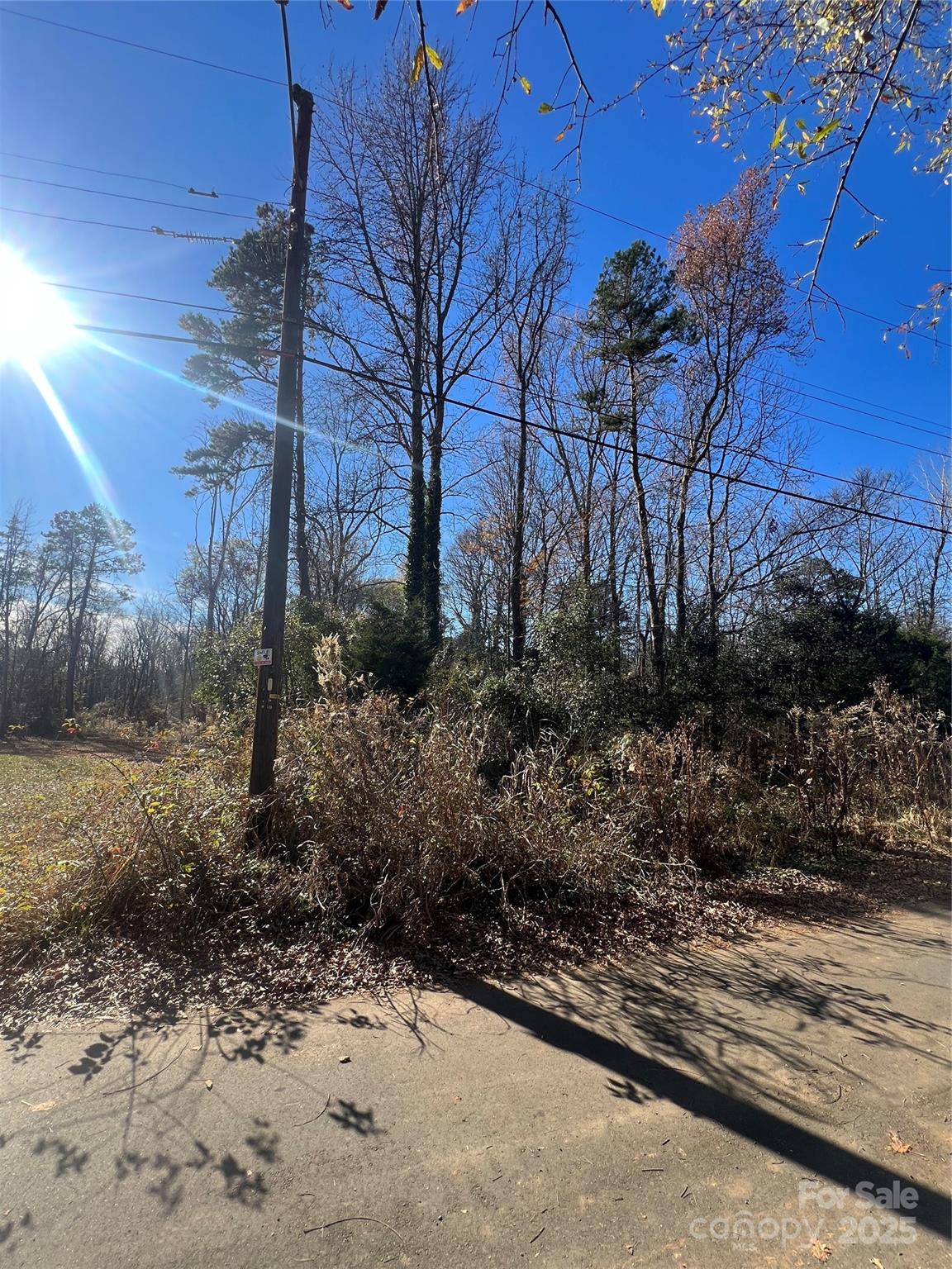 401 Nance Road Charlotte, NC 28214 - Photo 6 of 8 a view of a yard with a tree