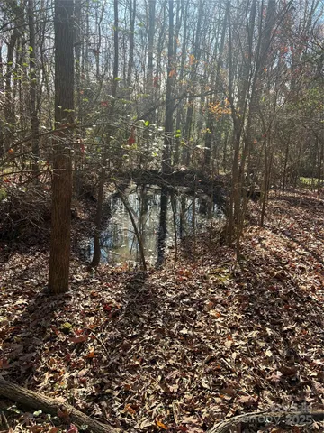 a view of outdoor space and a yard