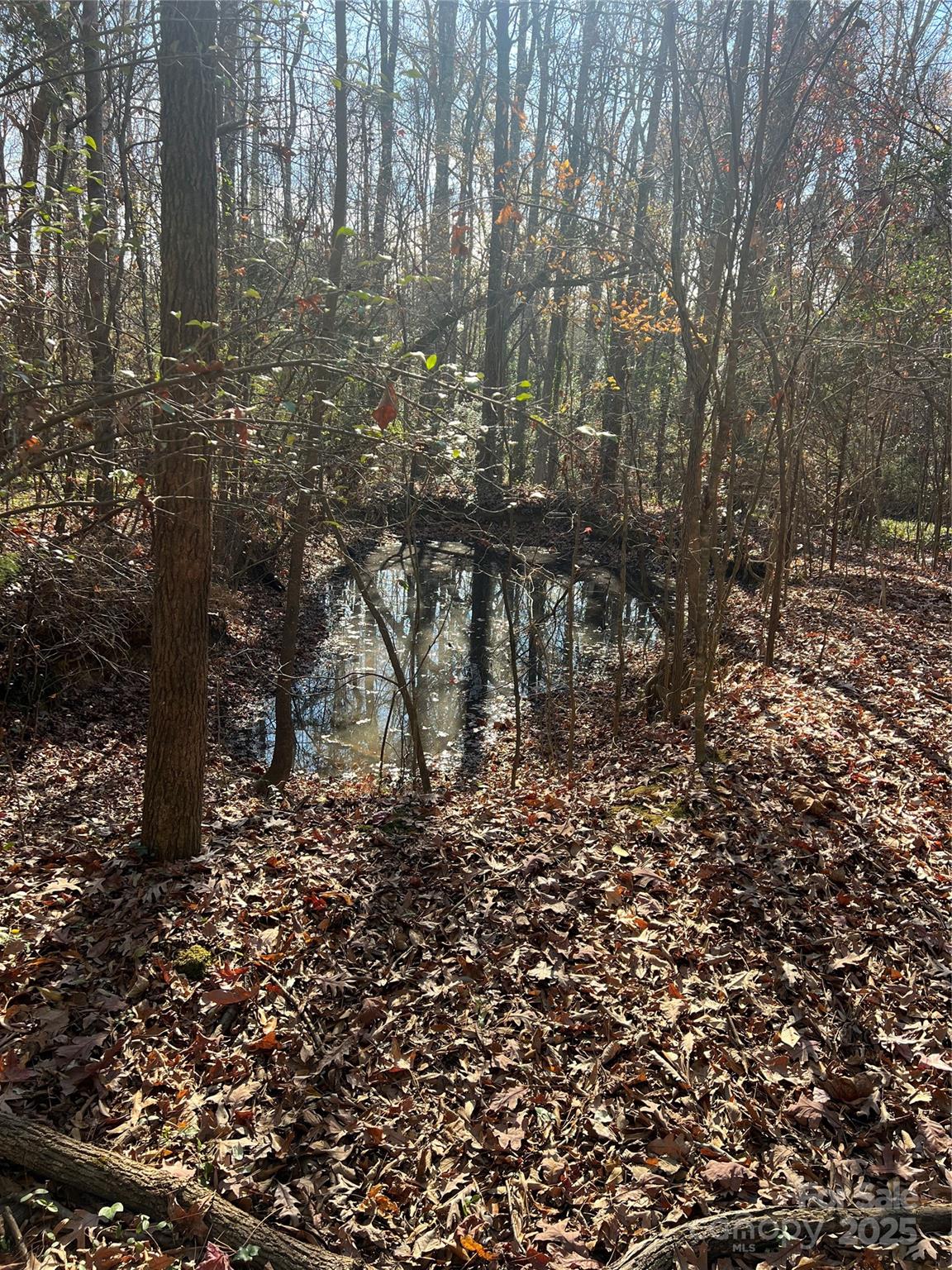 401 Nance Road Charlotte, NC 28214 - Photo 8 of 8 a view of outdoor space and a yard