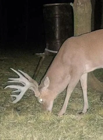 $1,165,250 | 0 I-49 Highway, Alexandria, LA 71302