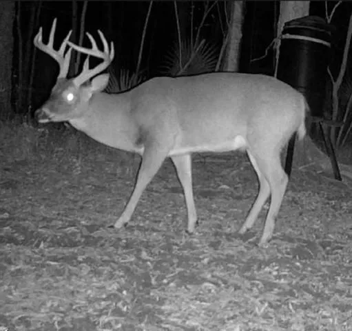 $1,165,250 | 0 I-49 Highway, Alexandria, LA 71302