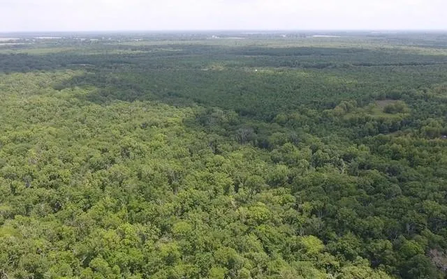 $1,165,250 | 0 I-49 Highway, Alexandria, LA 71302