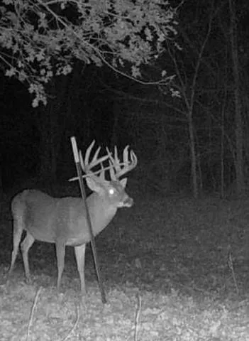 $1,165,250 | 0 I-49 Highway, Alexandria, LA 71302