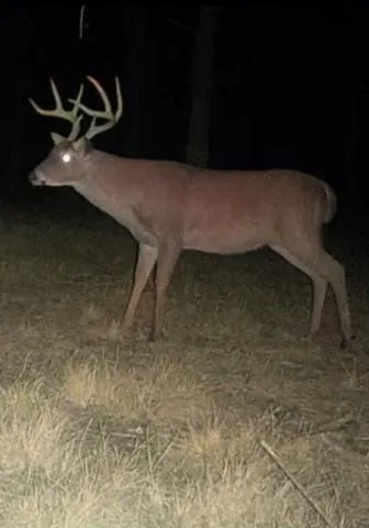 $1,165,250 | 0 I-49 Highway, Alexandria, LA 71302