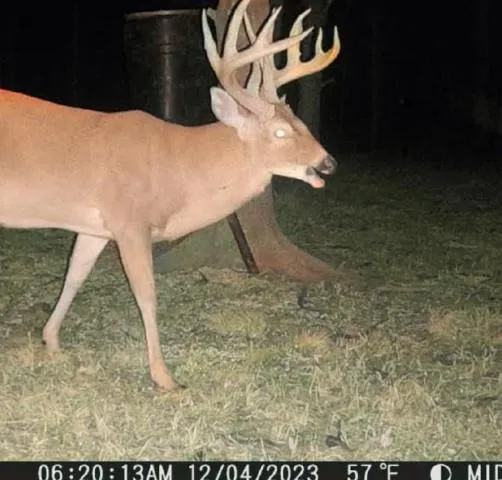 $1,165,250 | 0 I-49 Highway, Alexandria, LA 71302