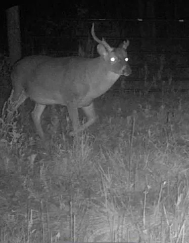 $1,165,250 | 0 I-49 Highway, Alexandria, LA 71302