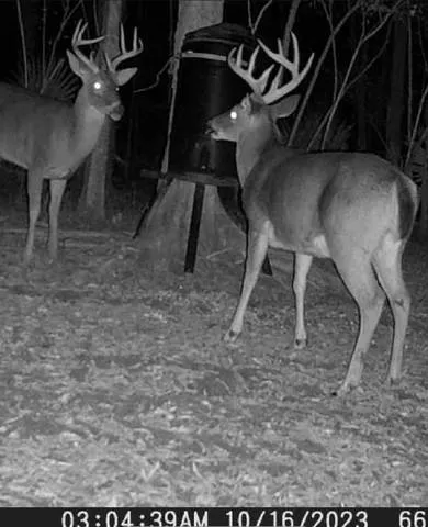 $1,165,250 | 0 I-49 Highway, Alexandria, LA 71302