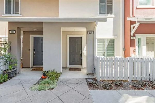 a front view of a house with a flower plants