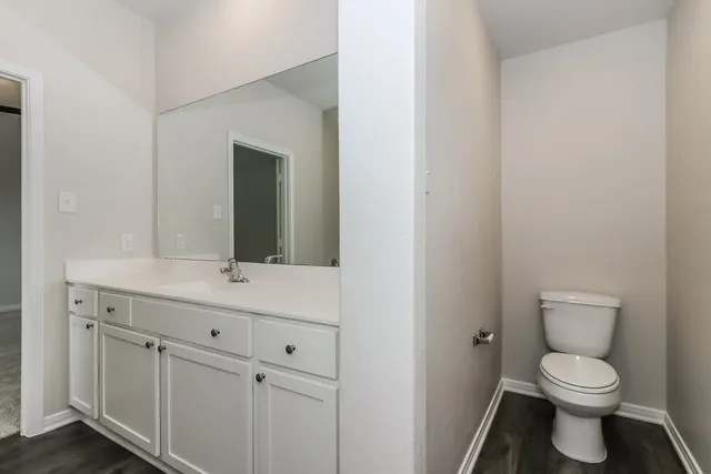 a bathroom with a toilet a sink a vanity and mirror