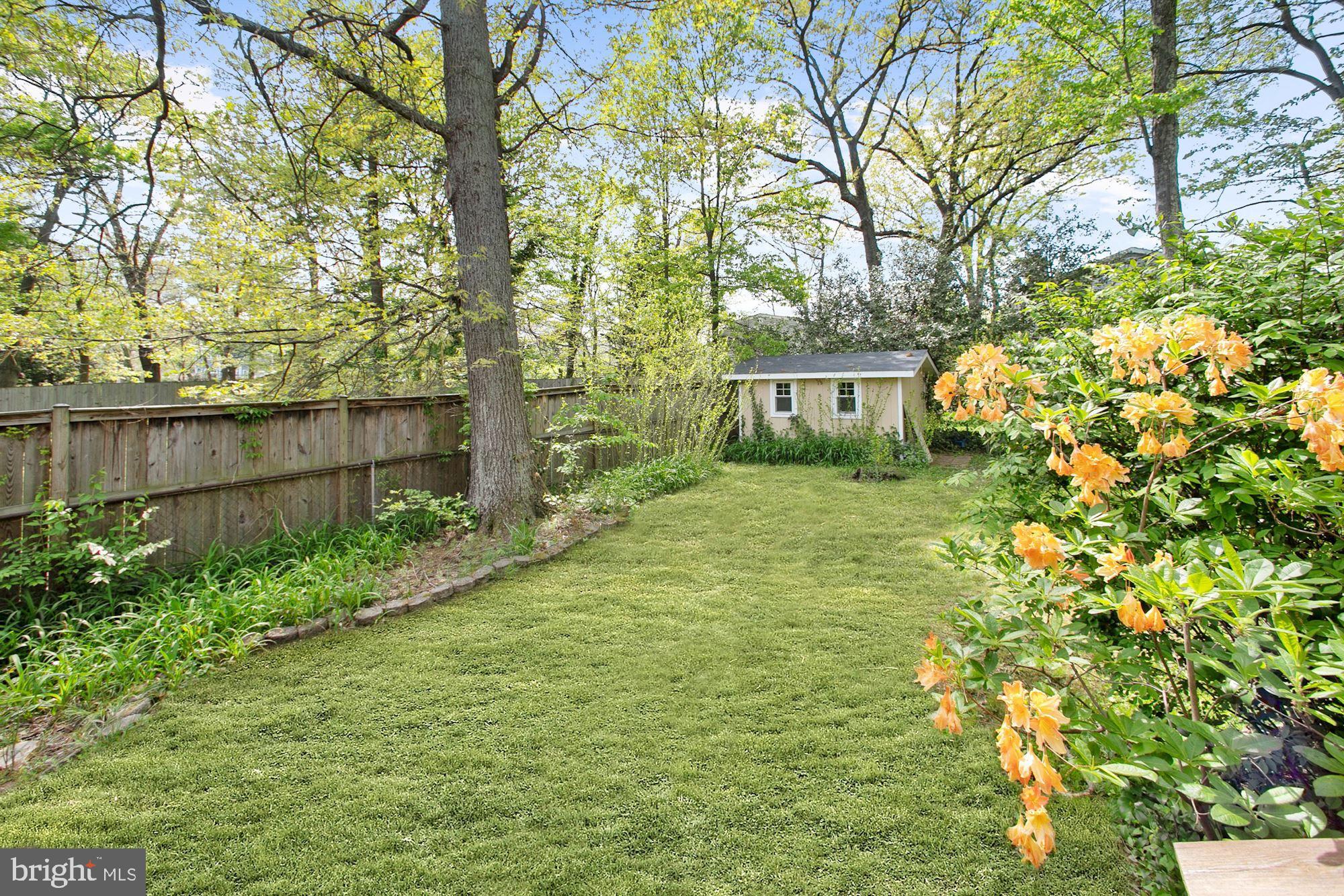 1924 Hull Road Vienna, VA 22182 - Photo 22 of 22 Large private backyard