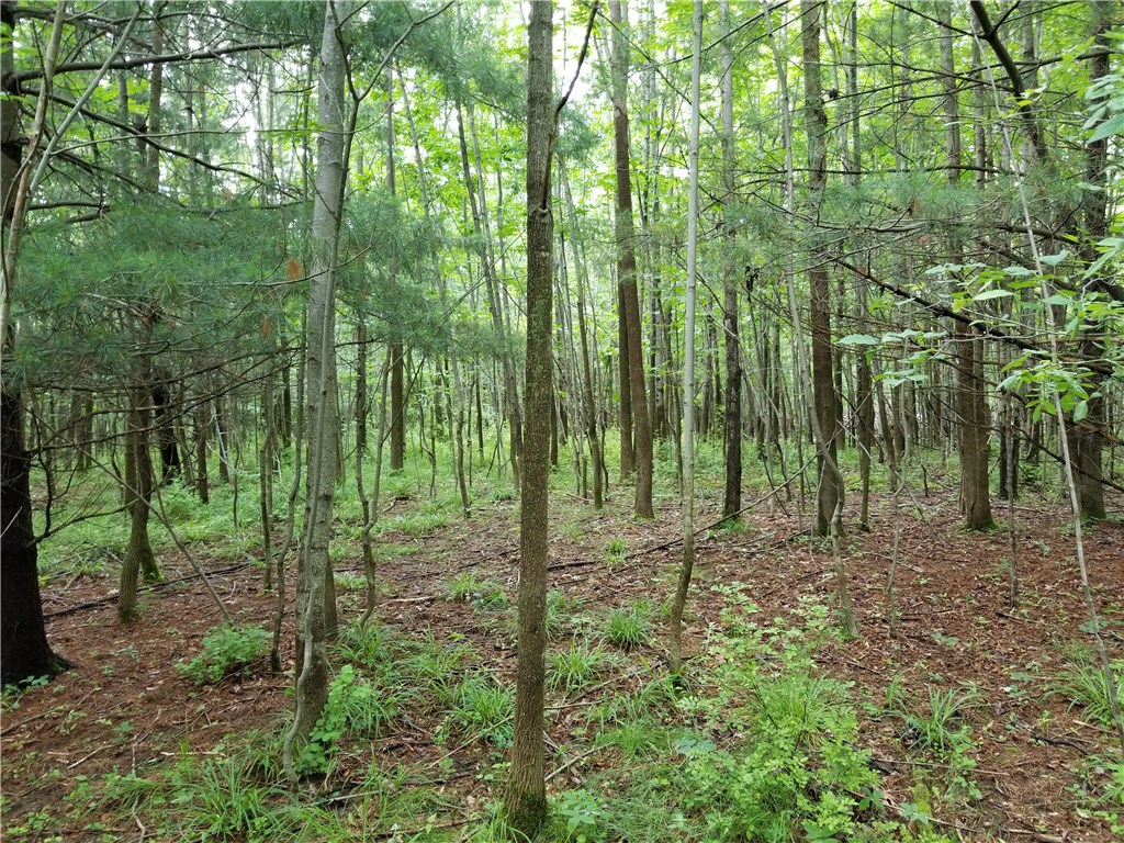 9952 Knox Hill Road Caneadea, NY 14735 - Photo 1 of 1 Gallery Image 1
