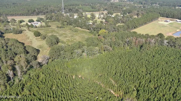 $340,000 | 0 East 98th Highway, Tylertown, MS 39667