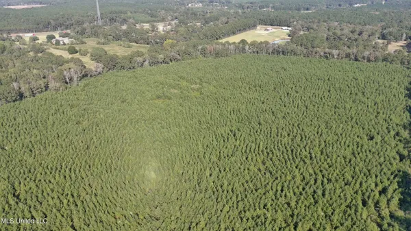 $340,000 | 0 East 98th Highway, Tylertown, MS 39667